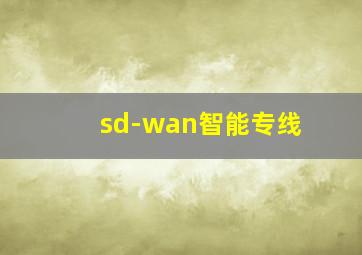 sd-wan智能专线