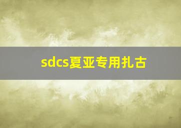 sdcs夏亚专用扎古