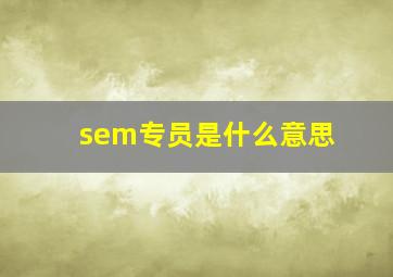 sem专员是什么意思