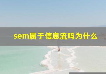 sem属于信息流吗为什么