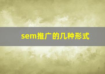 sem推广的几种形式