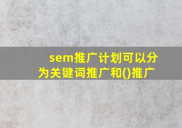 sem推广计划可以分为关键词推广和()推广