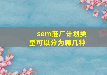 sem推广计划类型可以分为哪几种