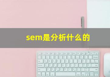 sem是分析什么的