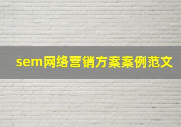 sem网络营销方案案例范文