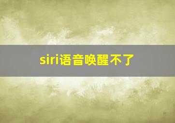 siri语音唤醒不了