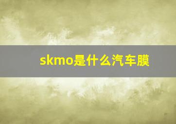 skmo是什么汽车膜