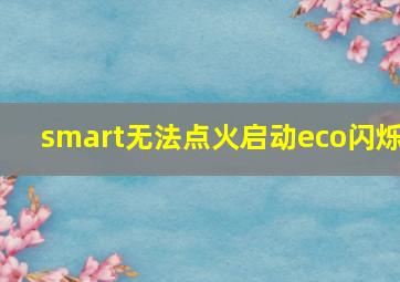 smart无法点火启动eco闪烁