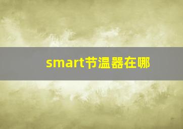 smart节温器在哪