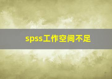 spss工作空间不足