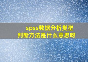 spss数据分析类型判断方法是什么意思呀