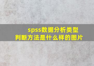 spss数据分析类型判断方法是什么样的图片