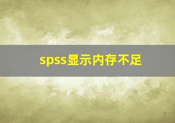 spss显示内存不足