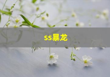 ss暴龙