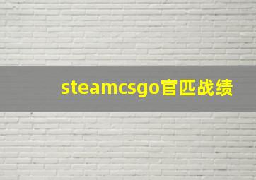 steamcsgo官匹战绩