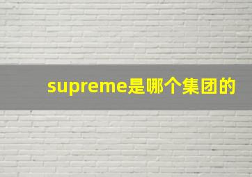 supreme是哪个集团的