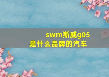 swm斯威g05是什么品牌的汽车