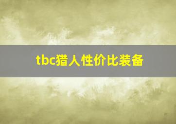 tbc猎人性价比装备