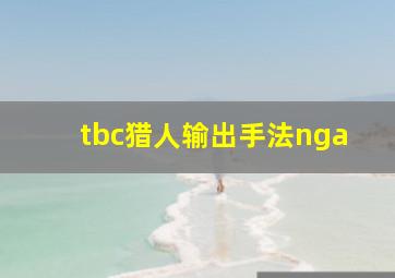 tbc猎人输出手法nga