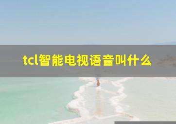 tcl智能电视语音叫什么