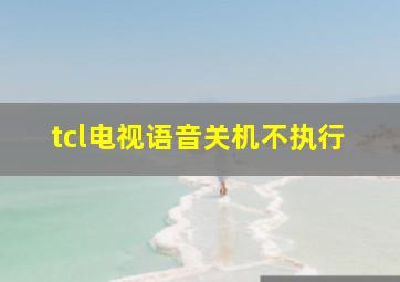 tcl电视语音关机不执行