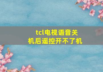 tcl电视语音关机后遥控开不了机