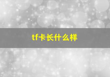 tf卡长什么样