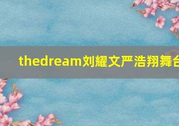 thedream刘耀文严浩翔舞台