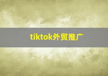 tiktok外贸推广