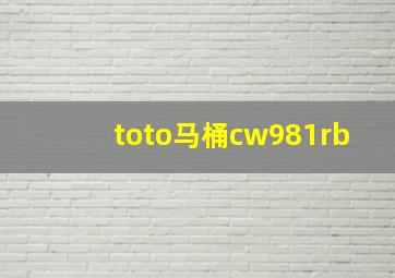 toto马桶cw981rb