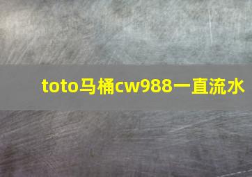 toto马桶cw988一直流水