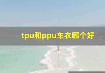 tpu和ppu车衣哪个好