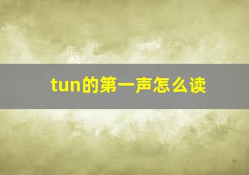 tun的第一声怎么读