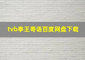 tvb拳王粤语百度网盘下载