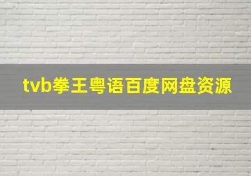 tvb拳王粤语百度网盘资源