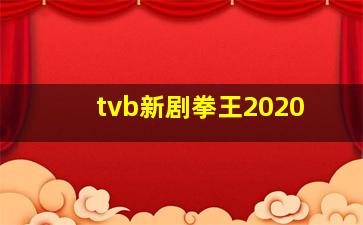 tvb新剧拳王2020