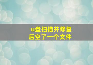 u盘扫描并修复后空了一个文件