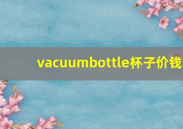 vacuumbottle杯子价钱