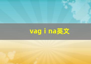 vagⅰna英文