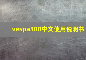 vespa300中文使用说明书