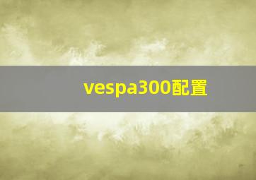 vespa300配置