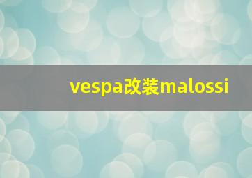 vespa改装malossi