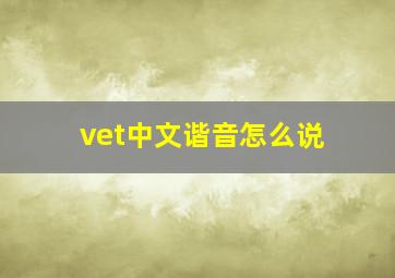 vet中文谐音怎么说