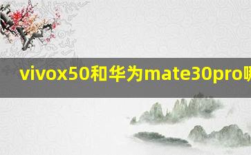 vivox50和华为mate30pro哪个好