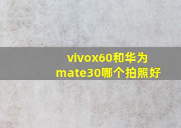 vivox60和华为mate30哪个拍照好