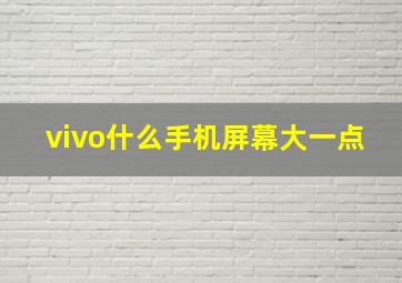 vivo什么手机屏幕大一点