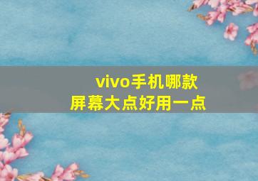 vivo手机哪款屏幕大点好用一点