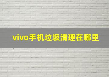 vivo手机垃圾清理在哪里