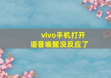 vivo手机打开语音唤醒没反应了