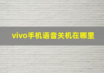 vivo手机语音关机在哪里